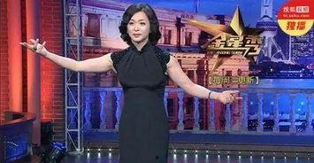 金星爆料娱乐评论大赏,年度娱乐风云人物盘点  第2张