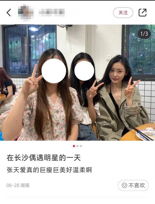 浪姐最新爆料视频大全下载,精彩瞬间回顾，揭秘幕后故事  第1张